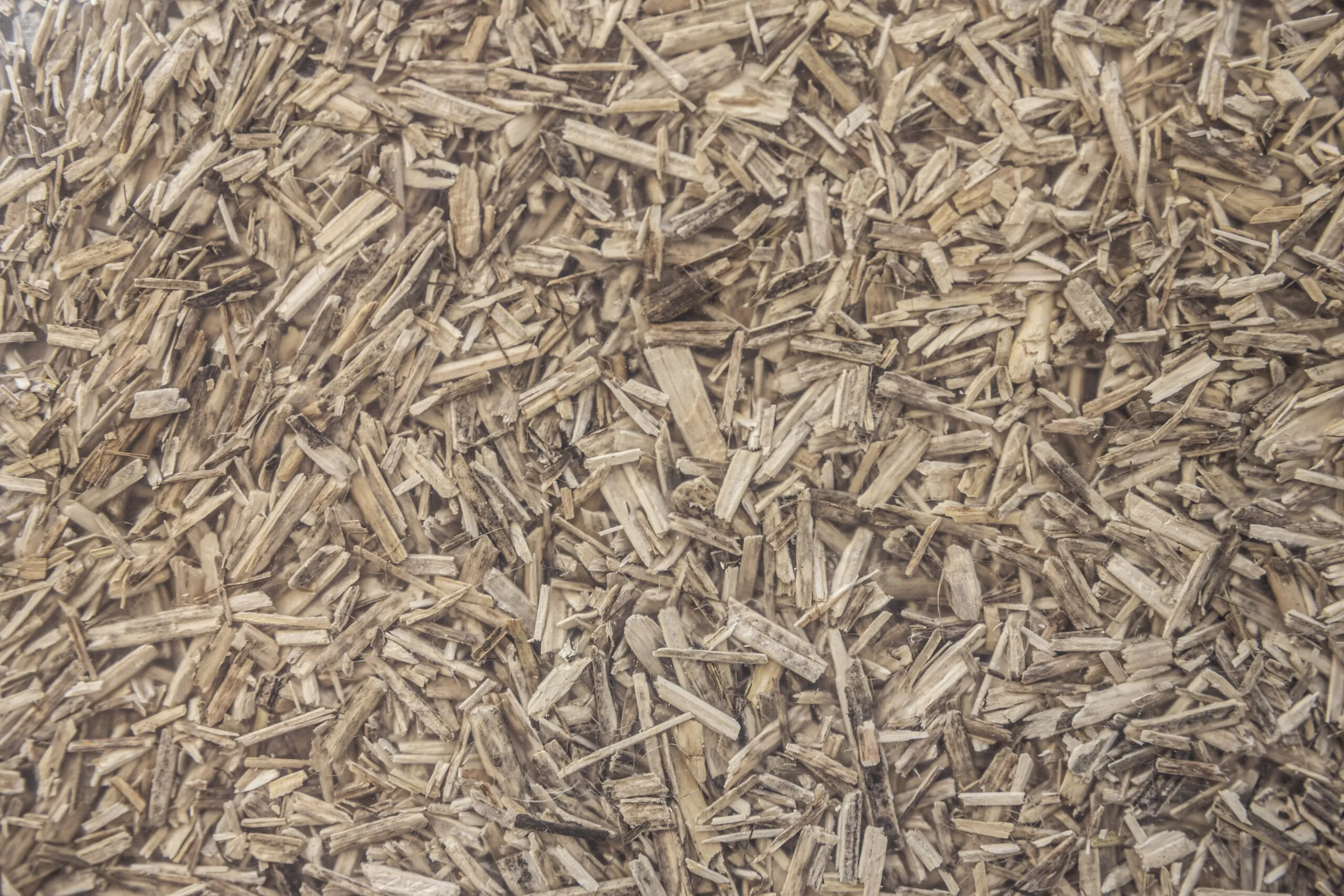 Nahaufnahme gesiebter Hanfschäben als Mulchmaterial