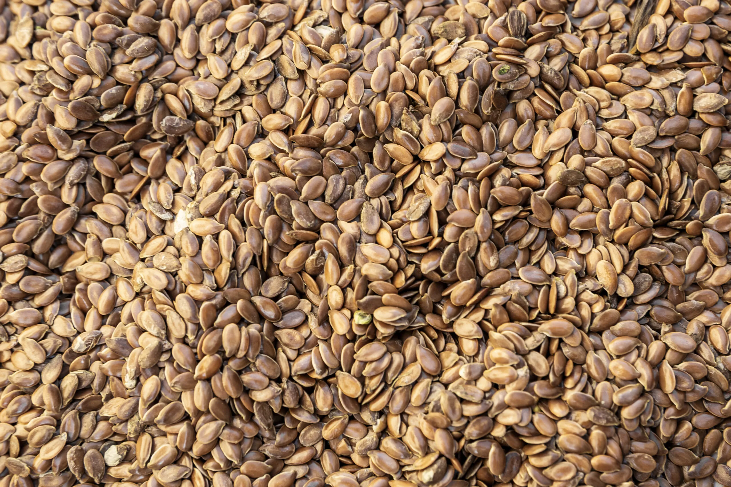 Nahaufnahme von Bio Leinsamen